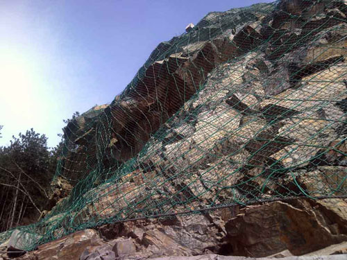 RXI-100�ͱ��ӷ��o(h��)�W(w��ng)