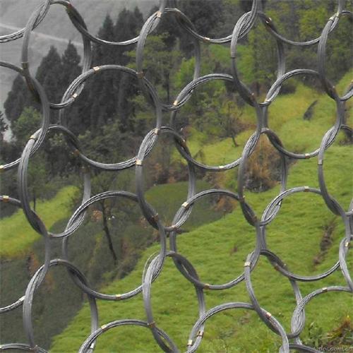 5230218.jpg 5230218.jpg